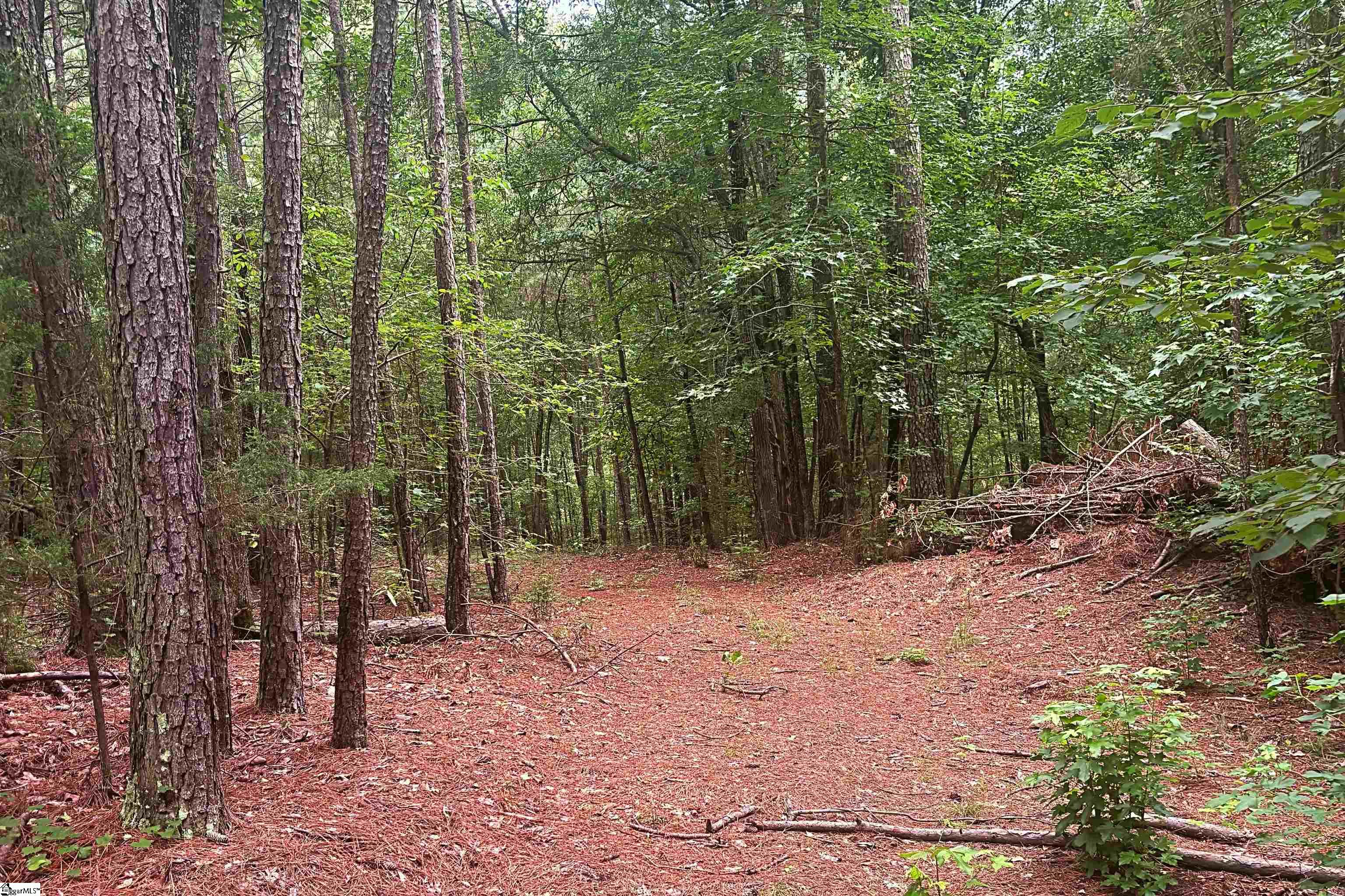 0 Harris Springs Road Cross Hill, SC 29332 - Photo 1 of 6 Gallery Image 1