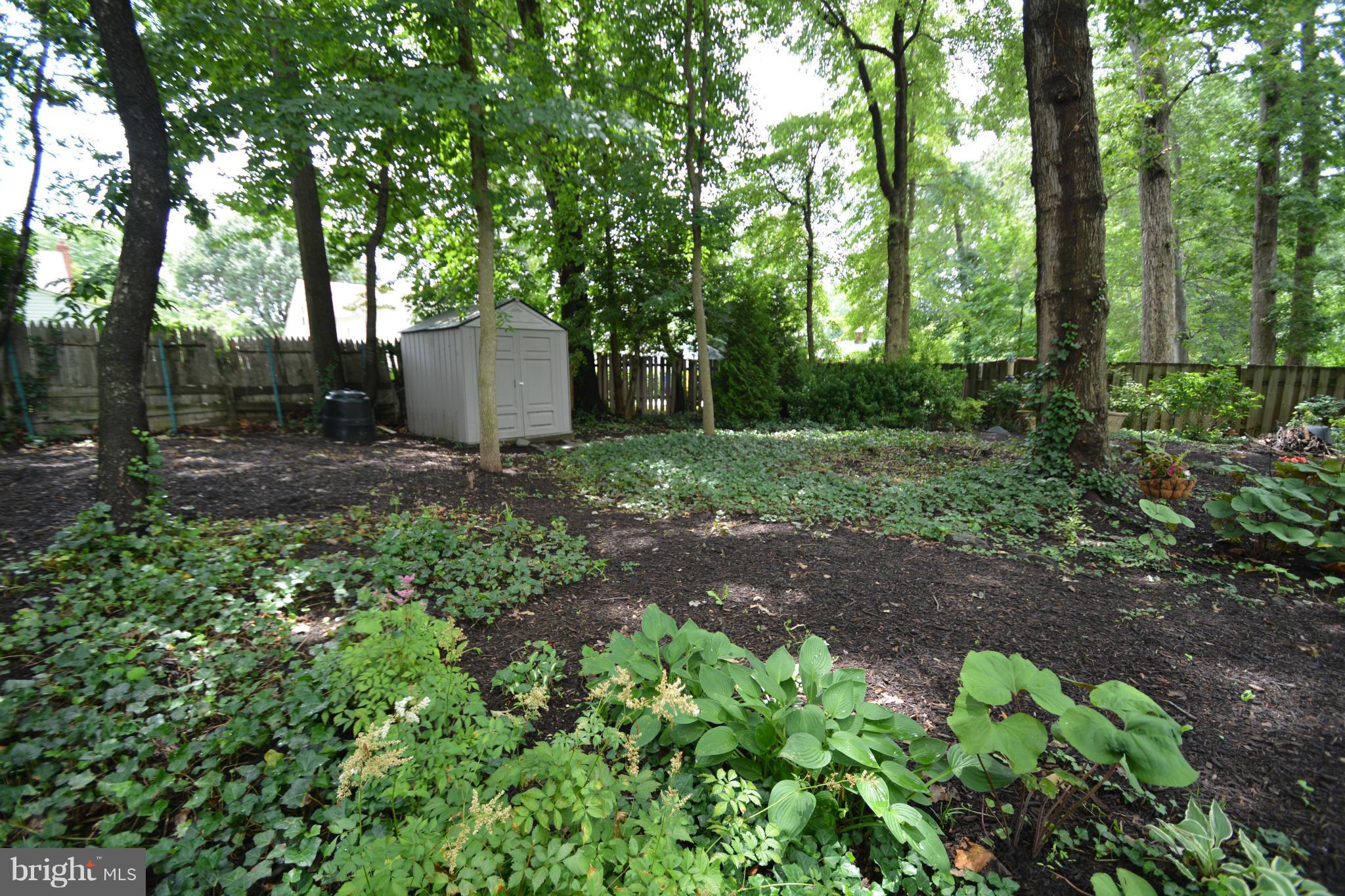 2105 Oak Lodge Road Catonsville, MD 21228 - Photo 22 of 30 Deep yard w/shed, great spot for bird feeders!