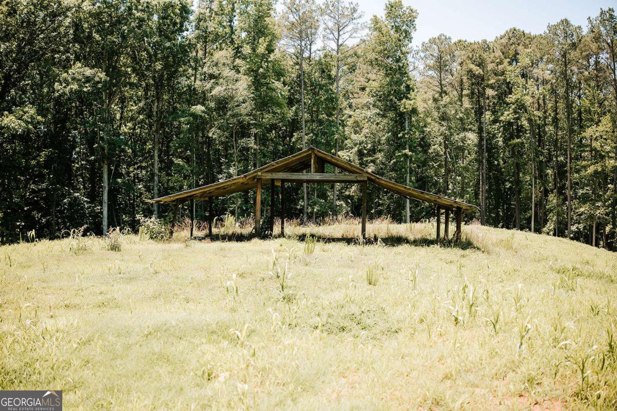 0 Mitchell Farm Road Colbert, GA 30628 - Photo 25 of 45