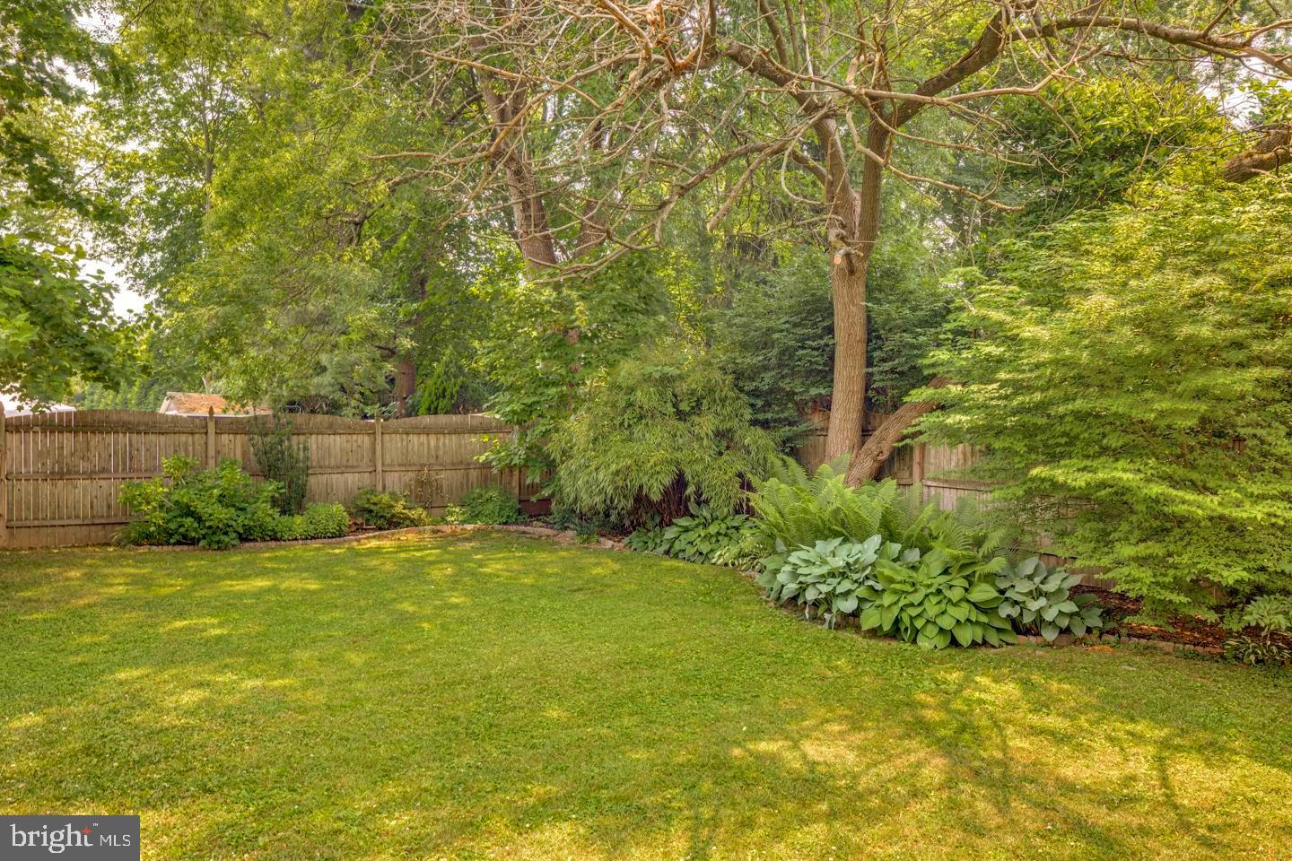 284 Bewley Road Haddonfield, NJ 08033 - Photo 34 of 36 a view of a yard with a trees