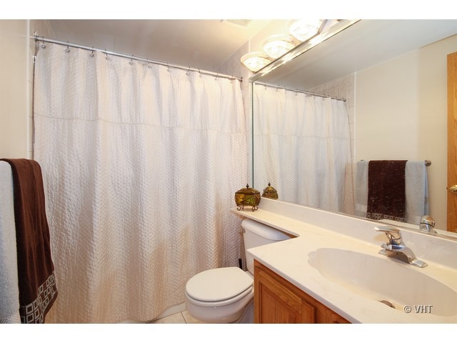 7339 South Garfield Street Burr Ridge, IL 60527 - Photo 13 of 21