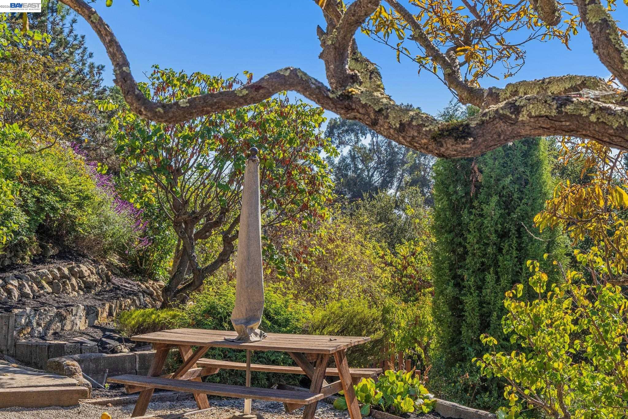 5624 Greenridge Road Castro Valley, CA 94552 - Photo 82 of 99 Gallery Image 82