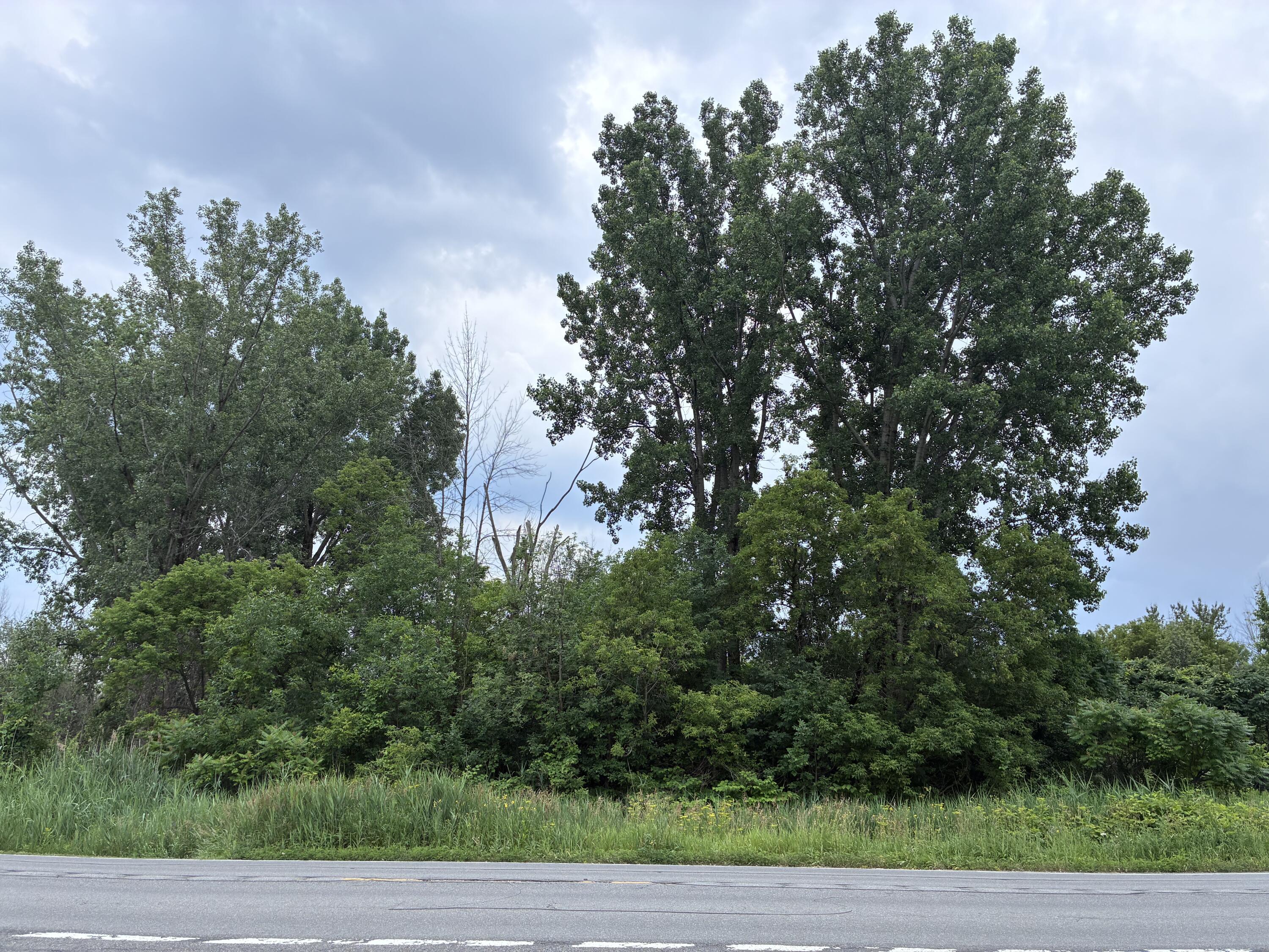 0 Route 11 Route Antwerp, NY 13608 - Photo 1 of 5