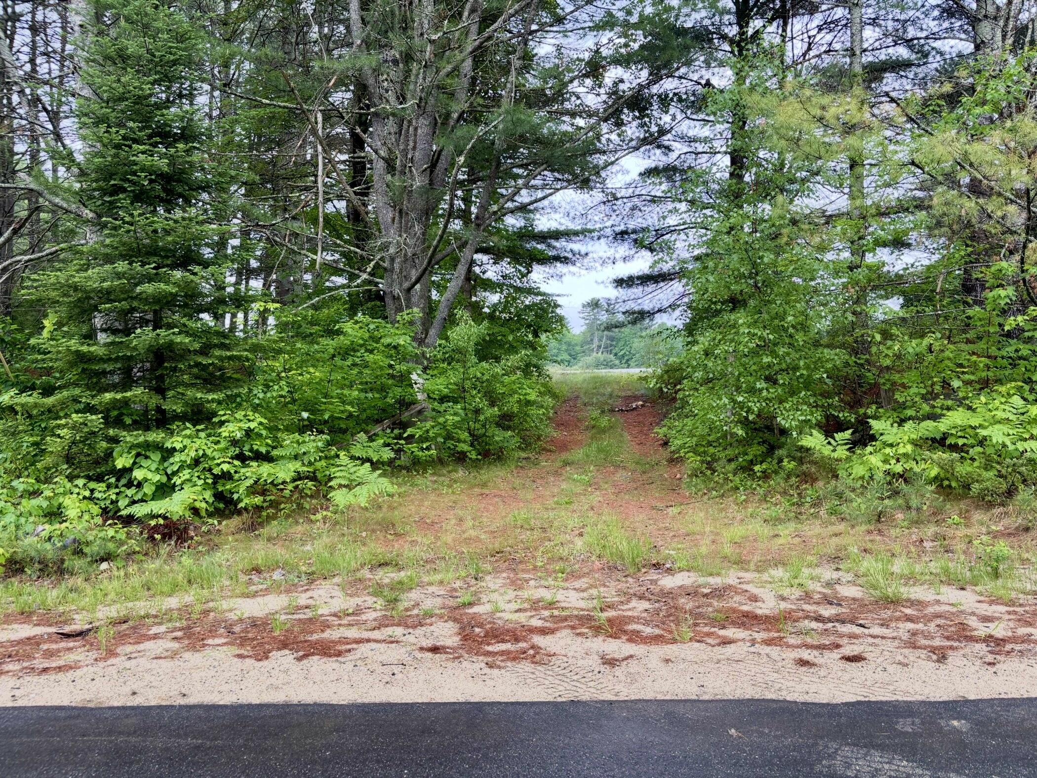 Lot 3 Paris Hill Road South Paris, ME 04281 - Photo 3 of 11 IMG_1830