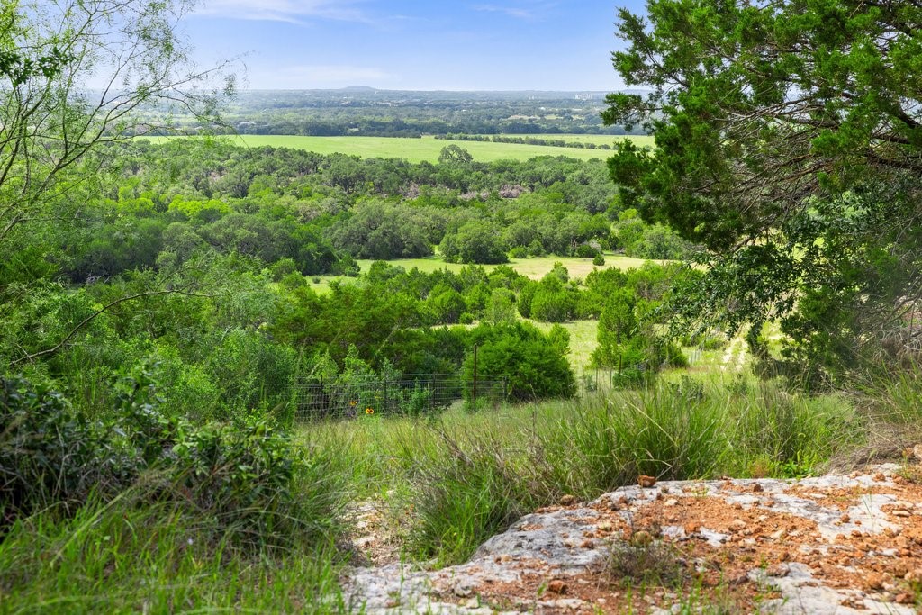 2101 Tower Road Georgetown, TX 78628 - Photo 26 of 38 a view of a garden with a lake