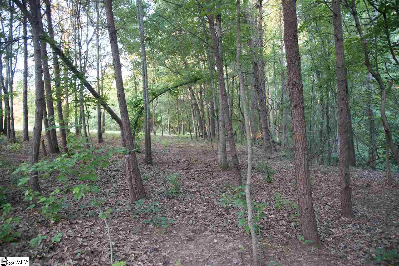 380 State Rd S-42-786 Wellford, SC 29385 - Photo 33 of 34 Gallery Image 33