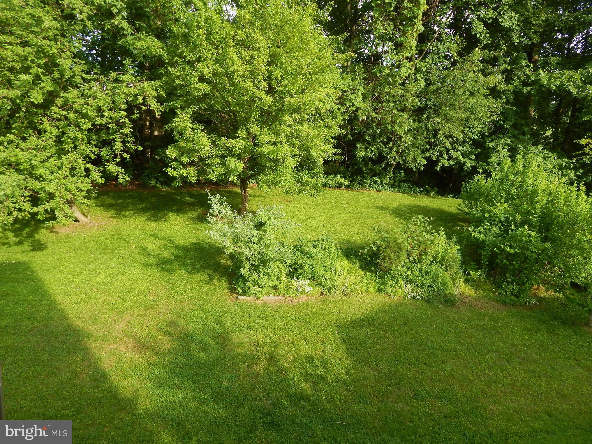 5776 Heming Avenue Springfield, VA 22151 - Photo 13 of 25 a view of yard with green space