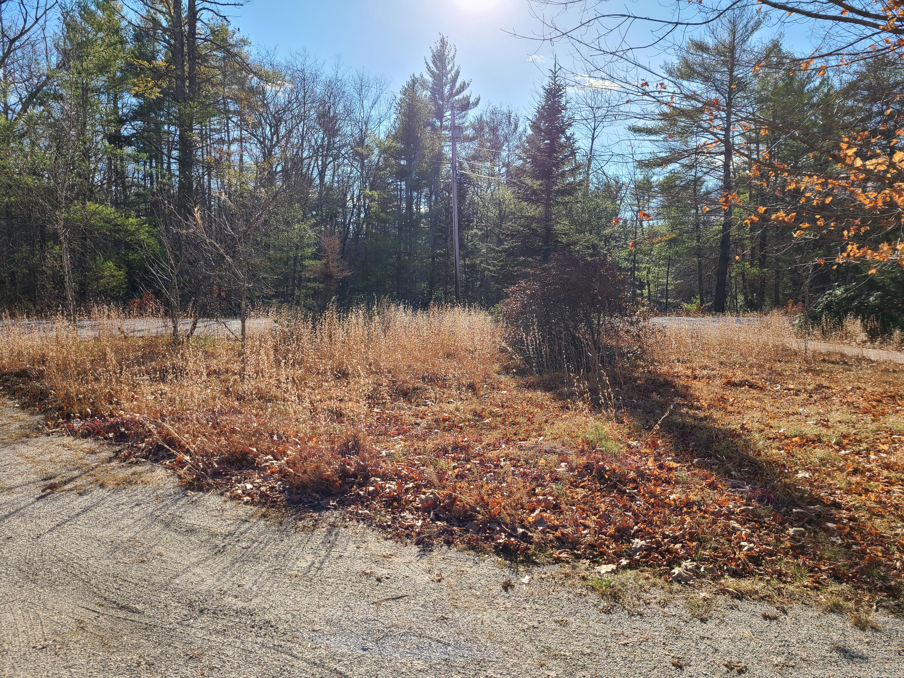 5 Doles Ridge Road Limington, ME 04049 - Photo 15 of 19 2020-11-21 12.36.19
