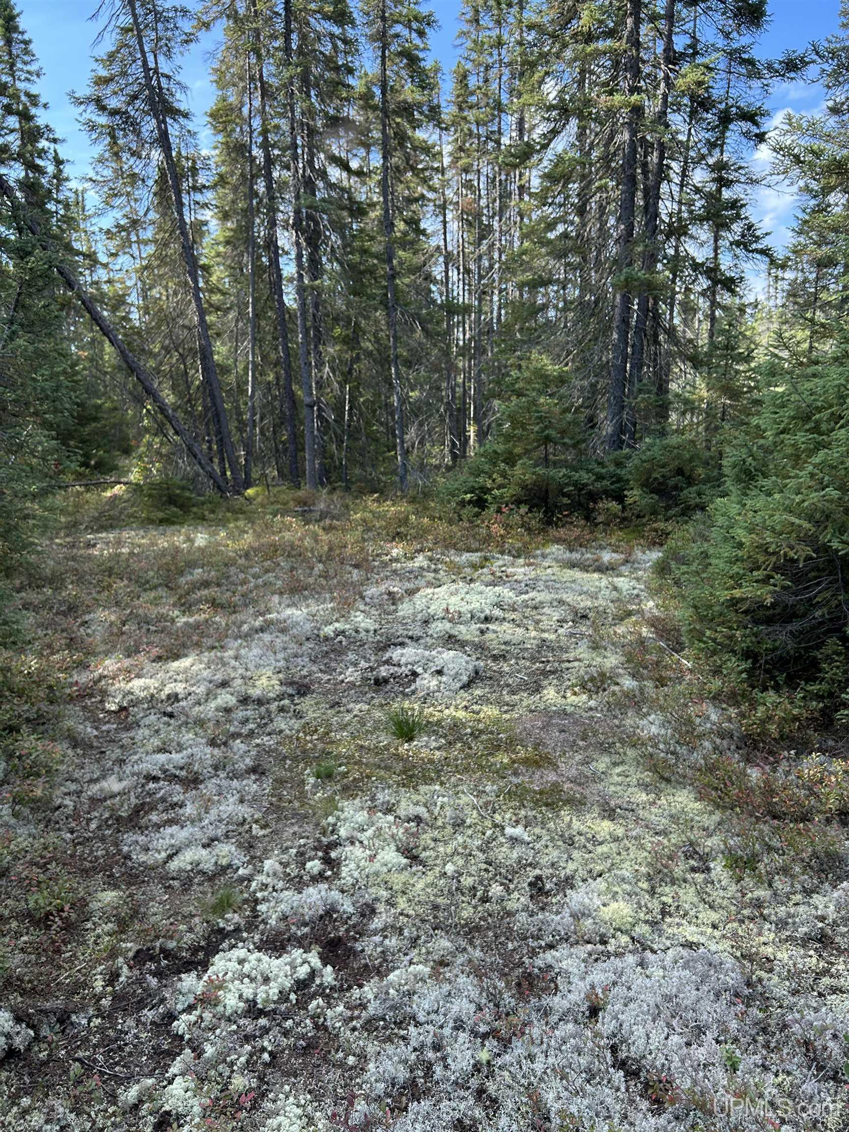 573 Rd Ishpeming Mi 49849 Road Ishpeming, MI 49849 - Photo 12 of 15