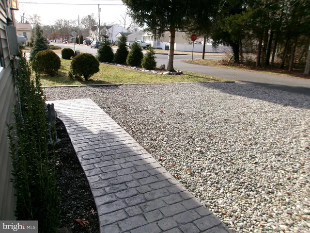 a view of a yard with plants