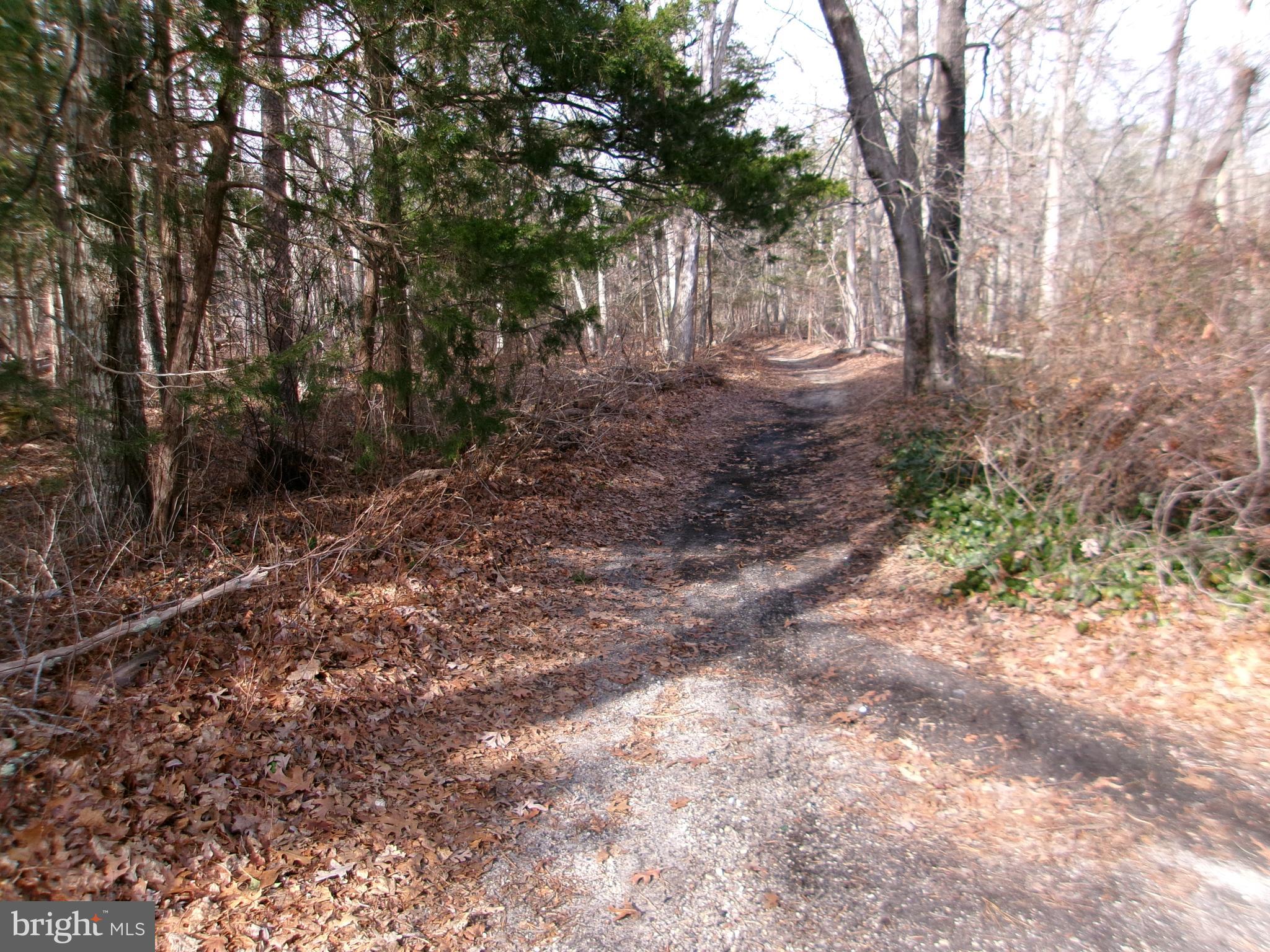 22 Nugentown Road Tuckerton, NJ 08087 - Photo 29 of 37 a view of a yard with plants and trees