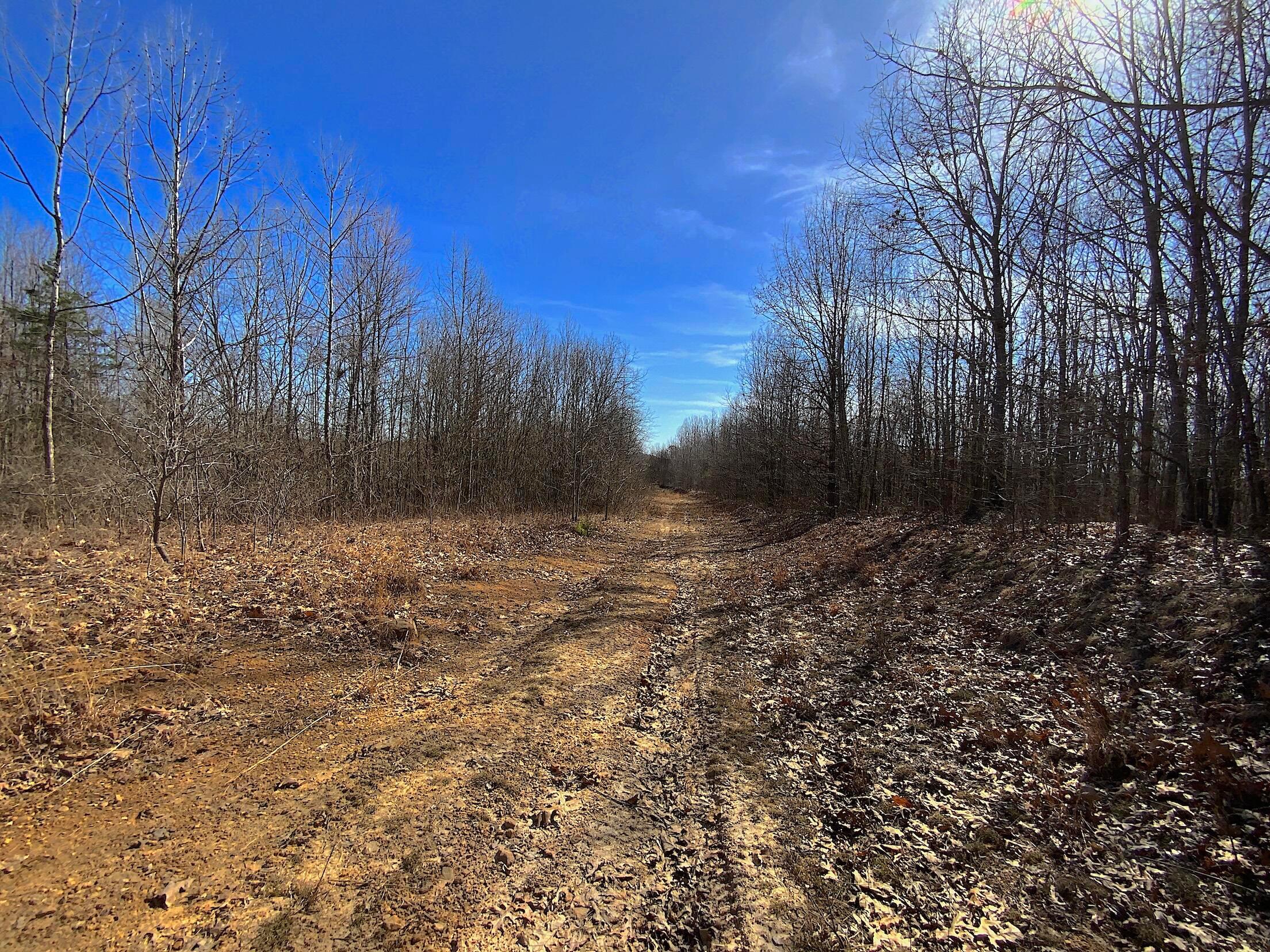 0 Kelly Road Ray, OH 45672 - Photo 14 of 46 Vinton County Kelly Rd 13