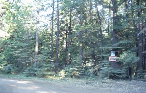 7639 Joda Road Shingletown, CA 96088 - Photo 1 of 1 Listing Photo
