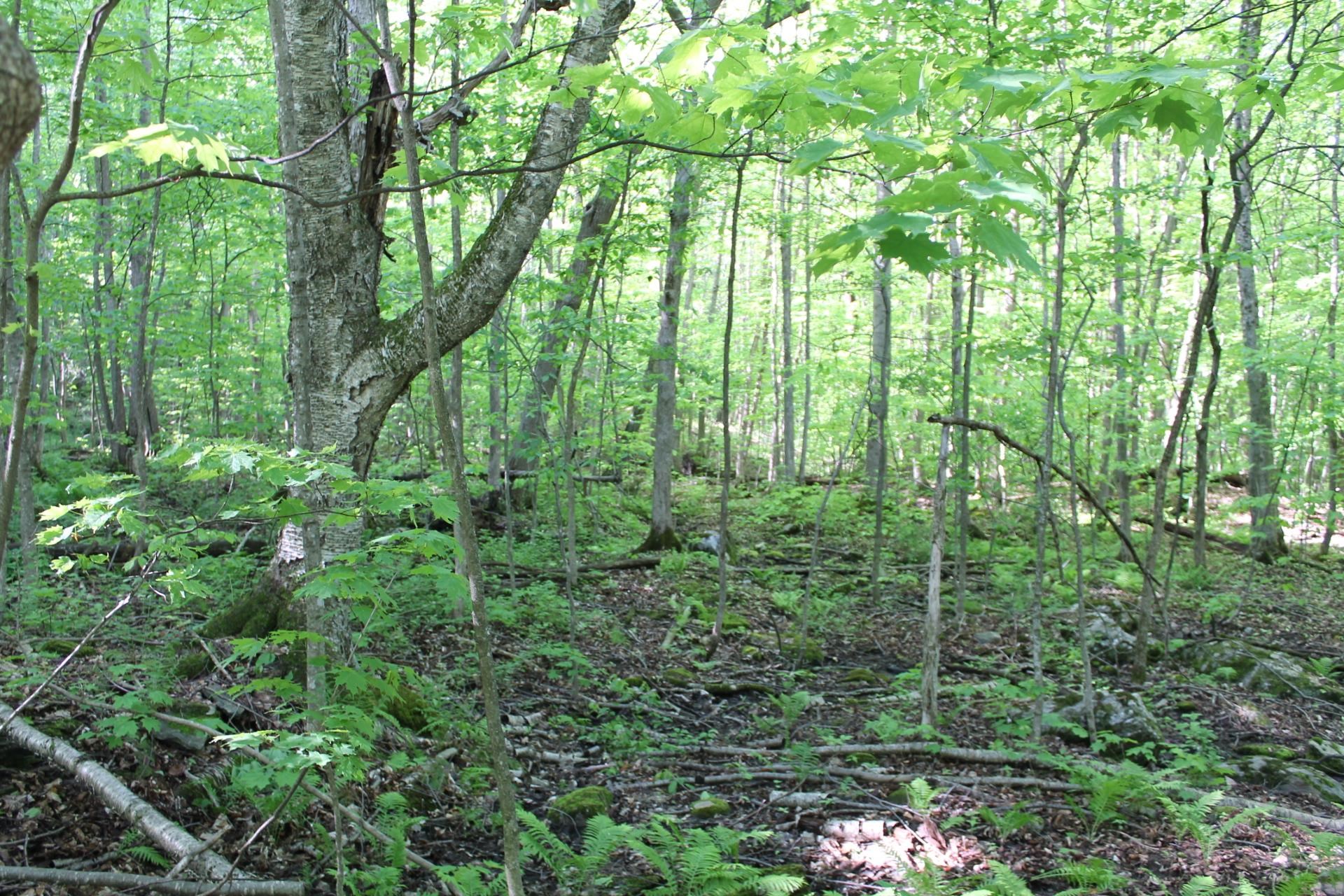 Lot 2 Enos Road Hinesburg, VT 05461 - Photo 1 of 3