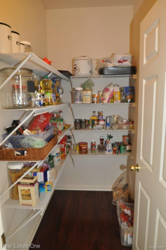 1094 Moran Drive Rochester, MI 48307 - Photo 11 of 30 WALK IN PANTRY