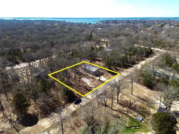 a view of a yard covered with trees