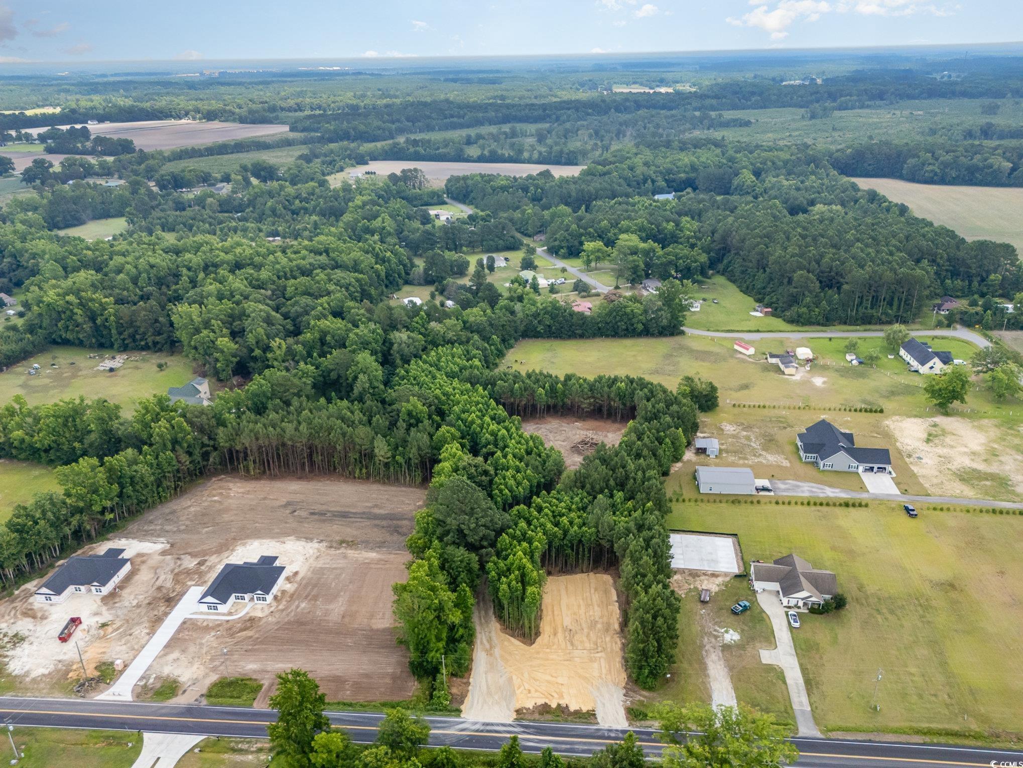 Tbd Lot 2 Red Bluff Road Loris, SC 29569 - Photo 6 of 10 Gallery Image 6