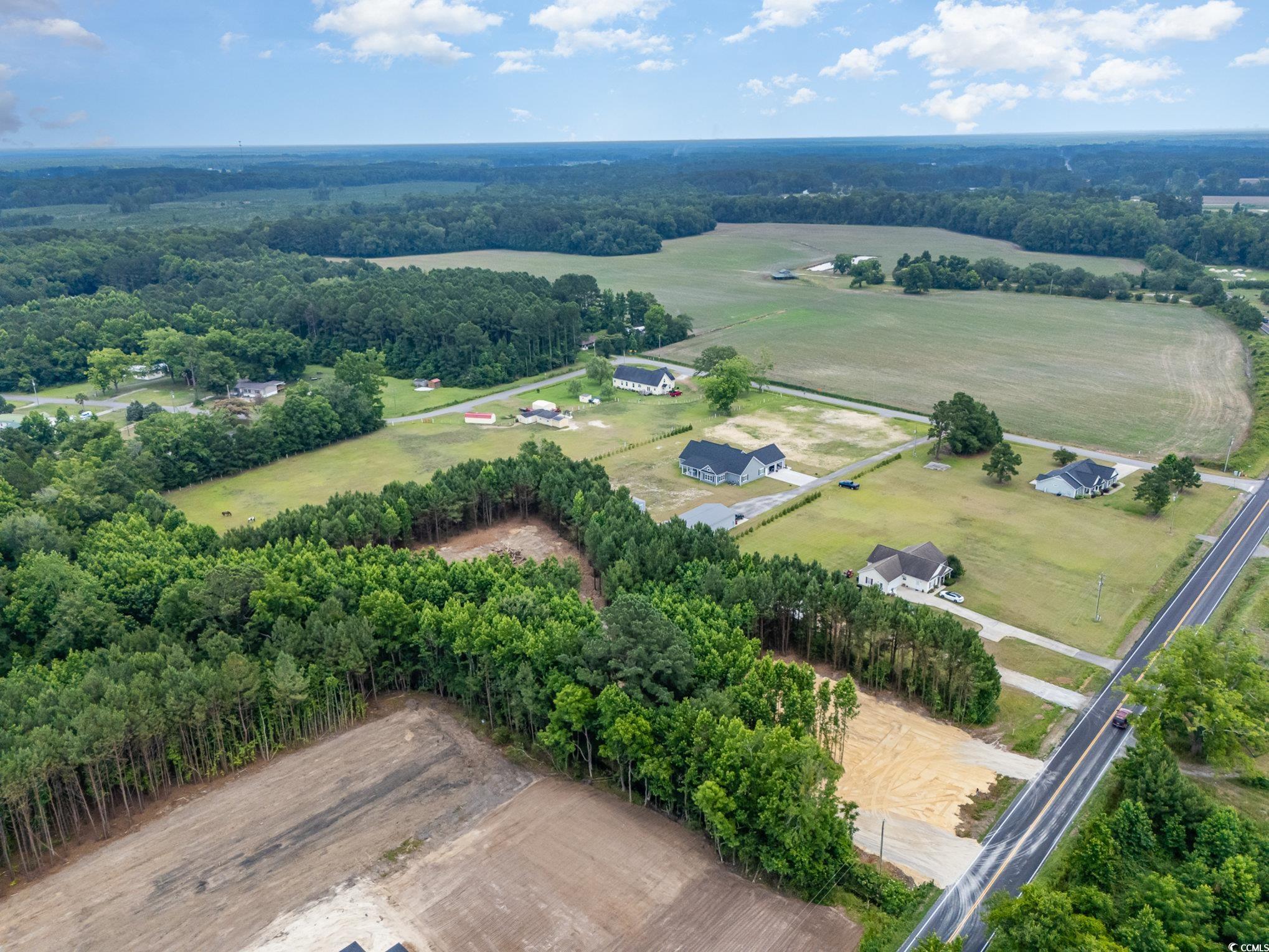 Tbd Lot 2 Red Bluff Road Loris, SC 29569 - Photo 7 of 10 Gallery Image 7