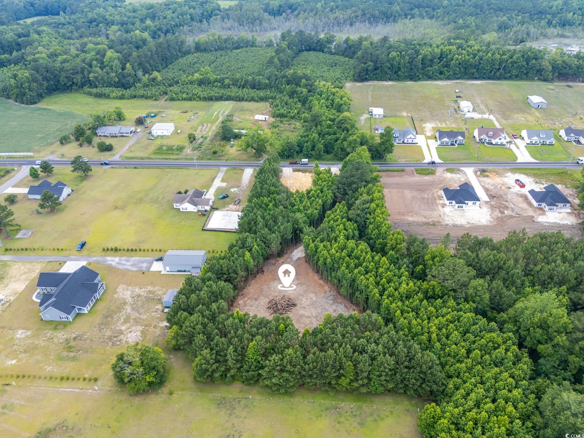 Tbd Lot 2 Red Bluff Road Loris, SC 29569 - Photo 9 of 10 Gallery Image 9