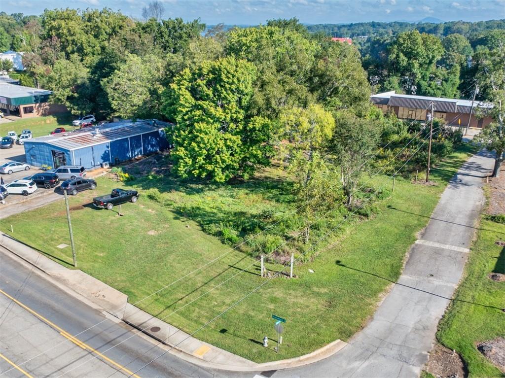 a view of a garden with a fountain