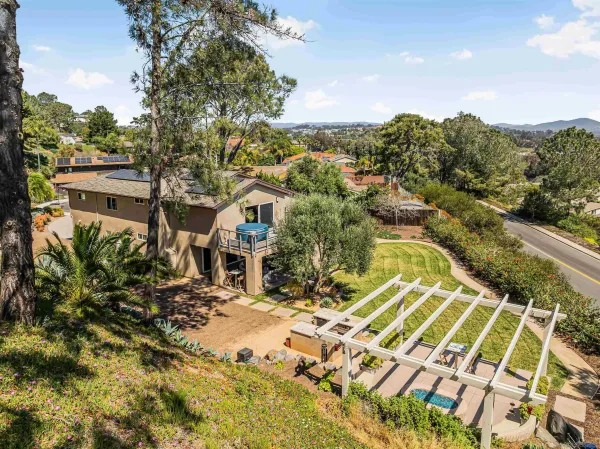 a view of a yard with plants and trees