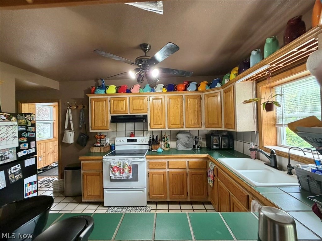 4173 South Ridge Road East Geneva, OH 44041 - Photo 6 of 42 Easy to manage kitchen