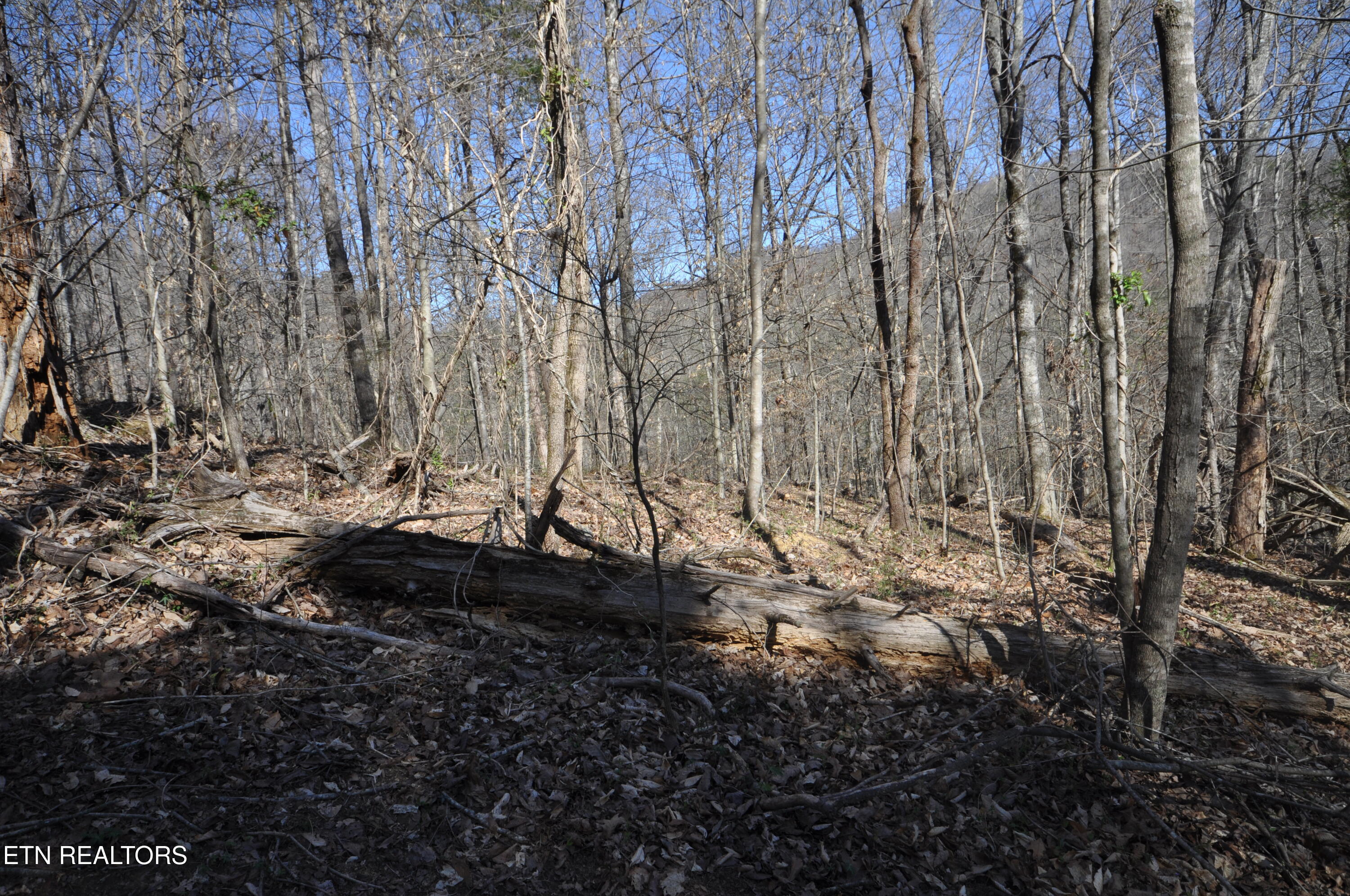 0 Old Tazewell Pike Corryton, TN 37721 - Photo 11 of 12 viles slope