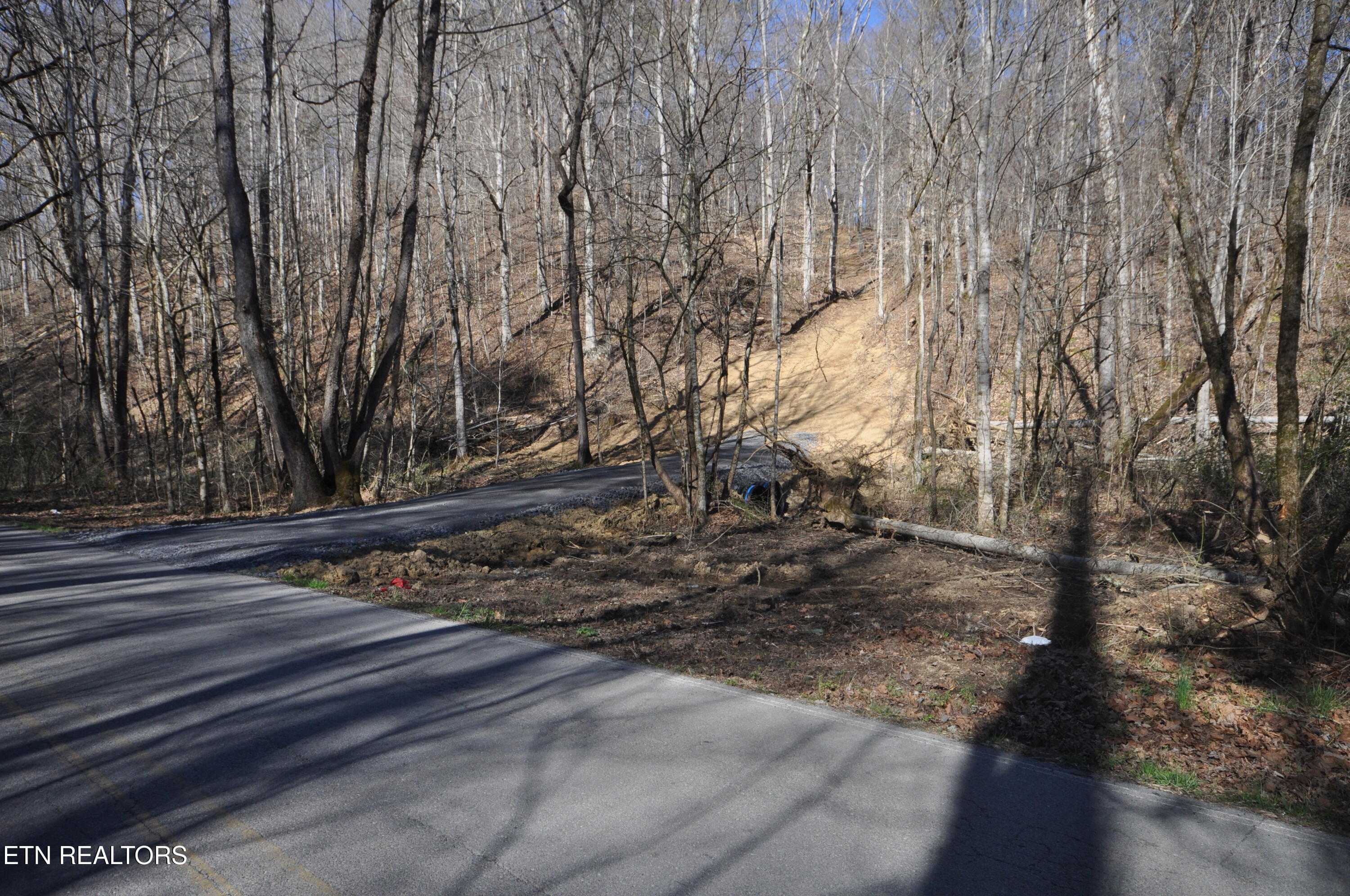 0 Old Tazewell Pike Corryton, TN 37721 - Photo 2 of 12 Viles drive