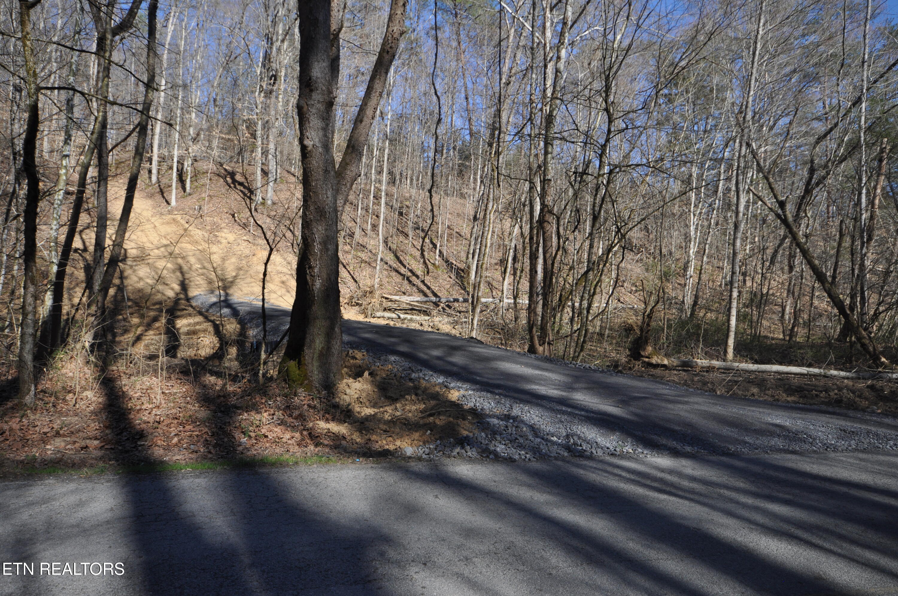 0 Old Tazewell Pike Corryton, TN 37721 - Photo 4 of 12 Viles drive 3