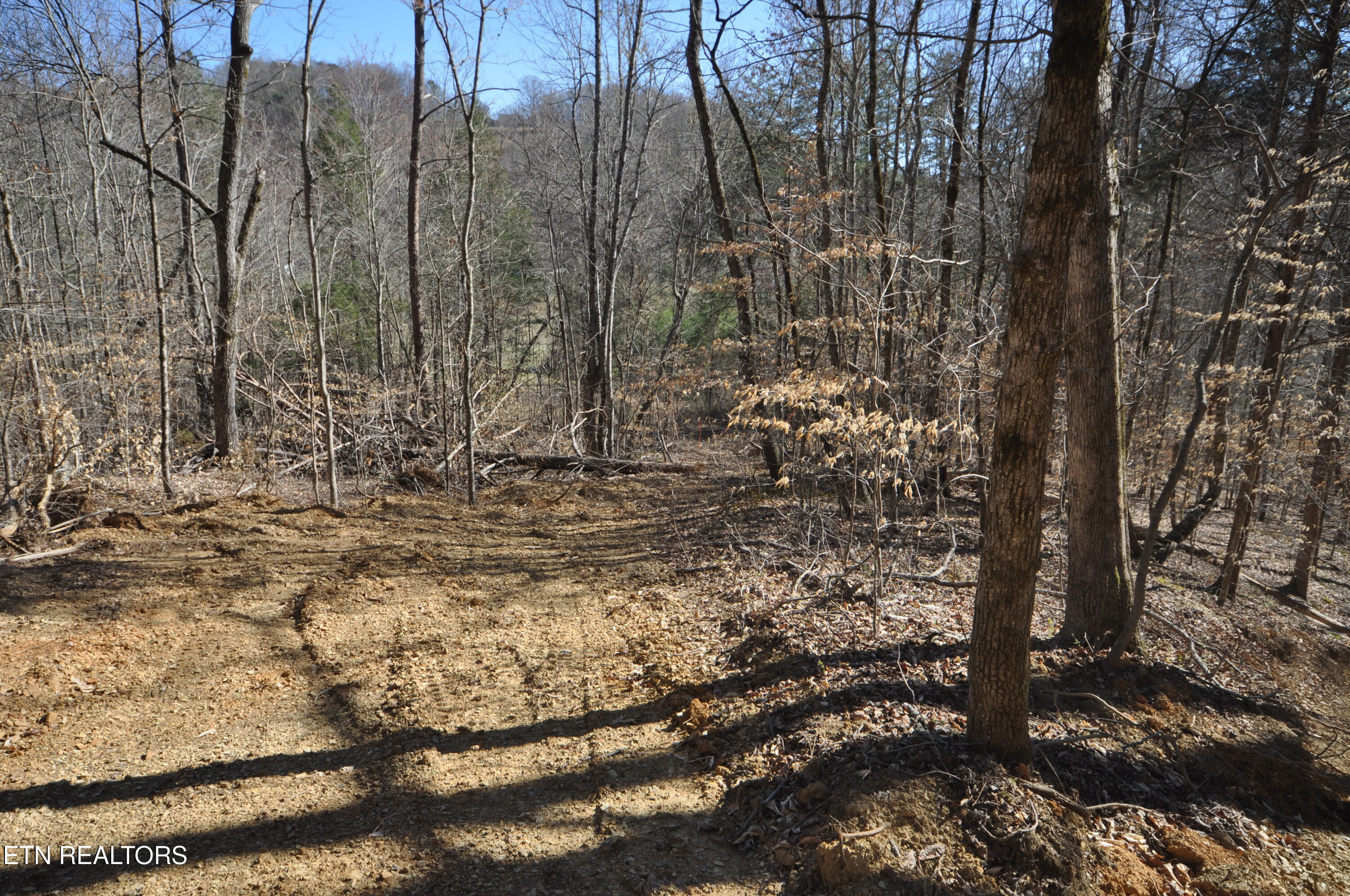 0 Old Tazewell Pike Corryton, TN 37721 - Photo 7 of 12 Viles build site 1