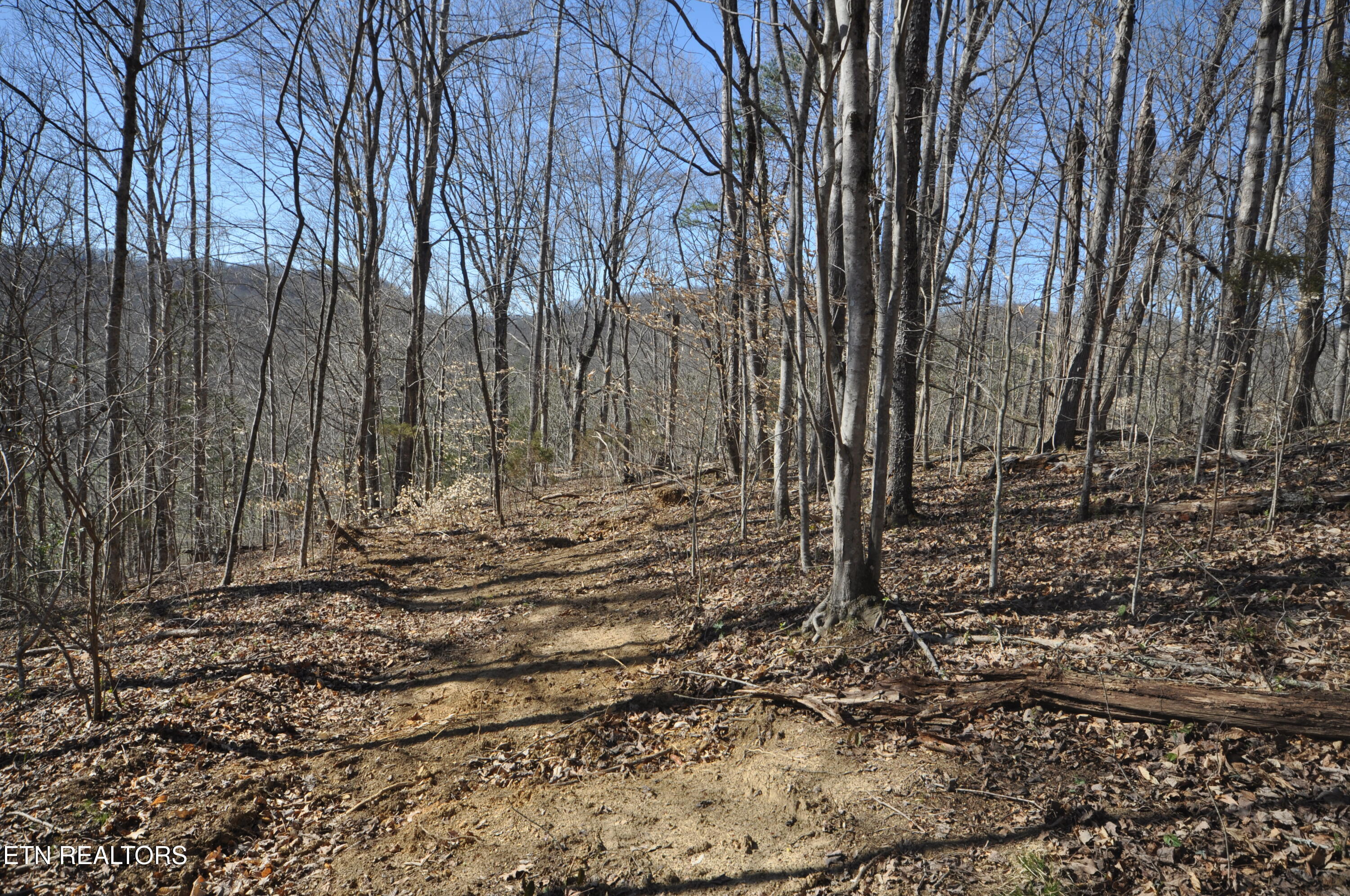 0 Old Tazewell Pike Corryton, TN 37721 - Photo 8 of 12 viles build site 2