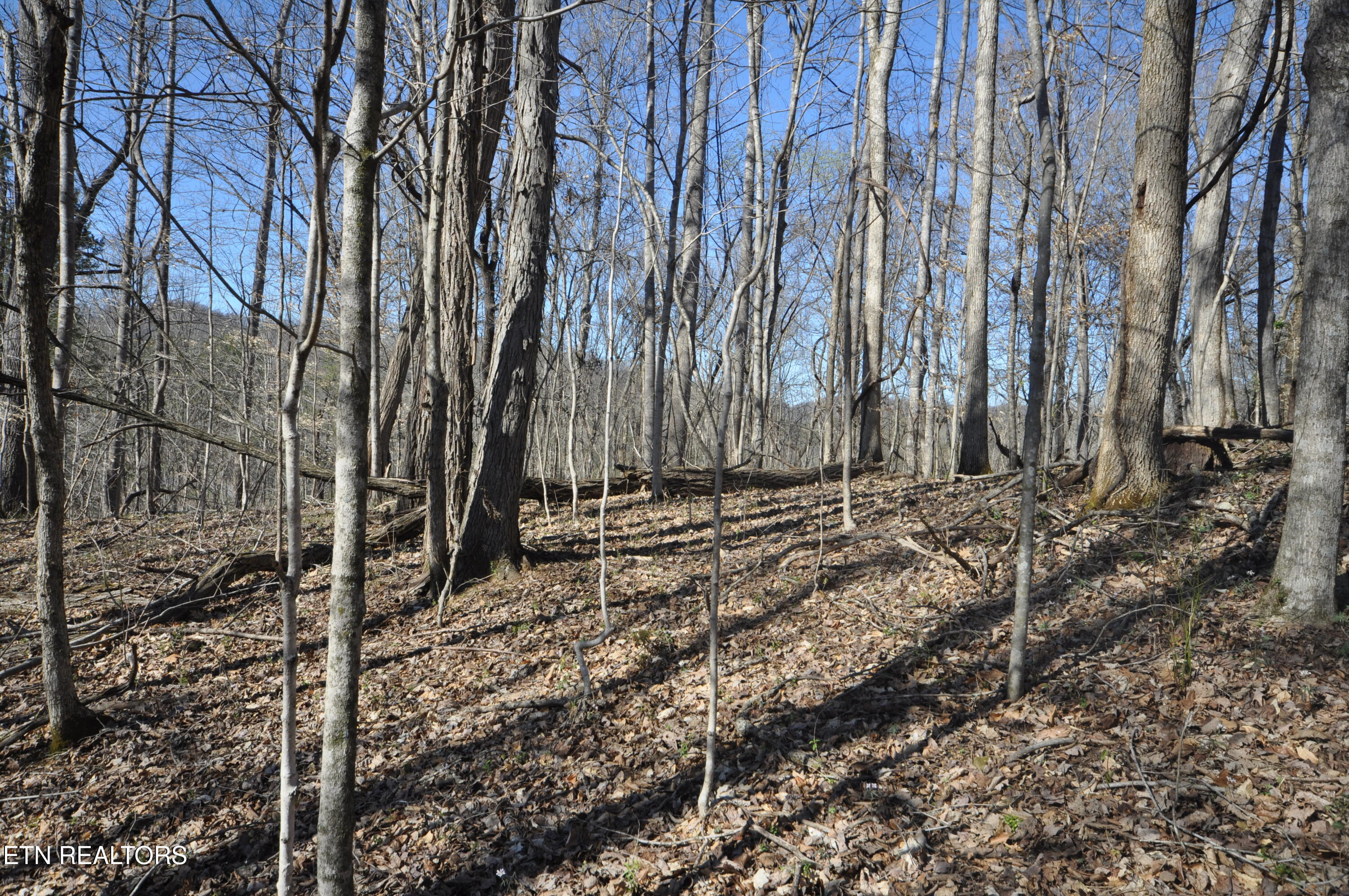 0 Old Tazewell Pike Corryton, TN 37721 - Photo 9 of 12 viles build site 2b