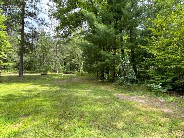 2906 River Ridge Road Alger, MI 48610 - Photo 15 of 21