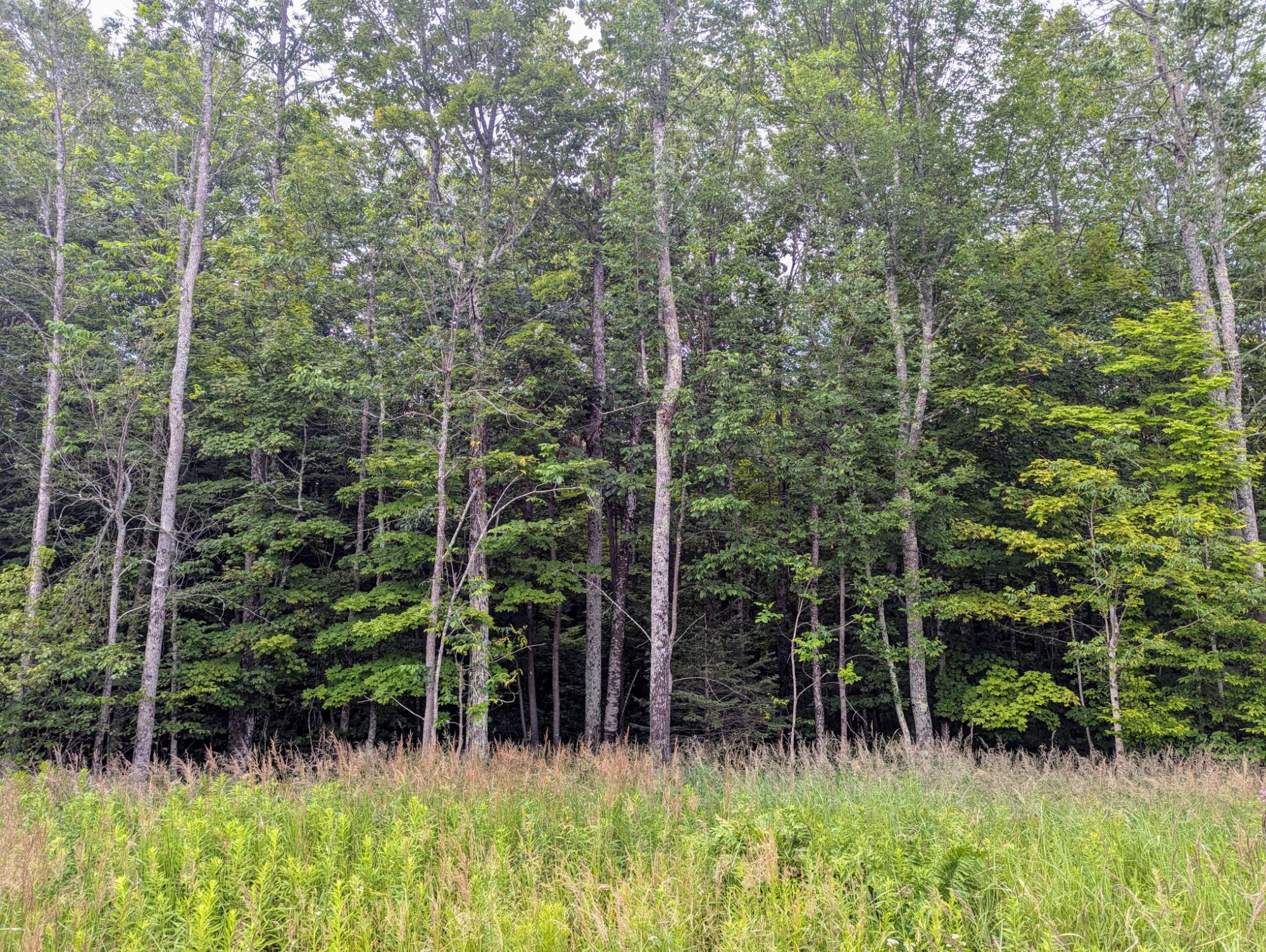 20 Cth D Brantwood, WI 54513 - Photo 10 of 10 Gallery Image 10