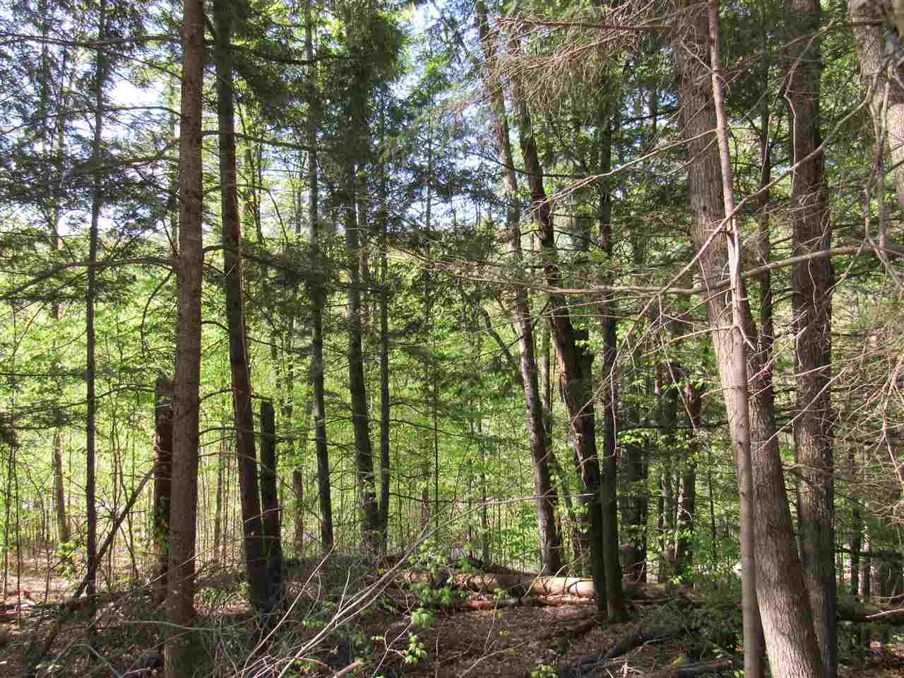 1410 Stevens Brook Road Moretown, VT 05676 - Photo 12 of 17