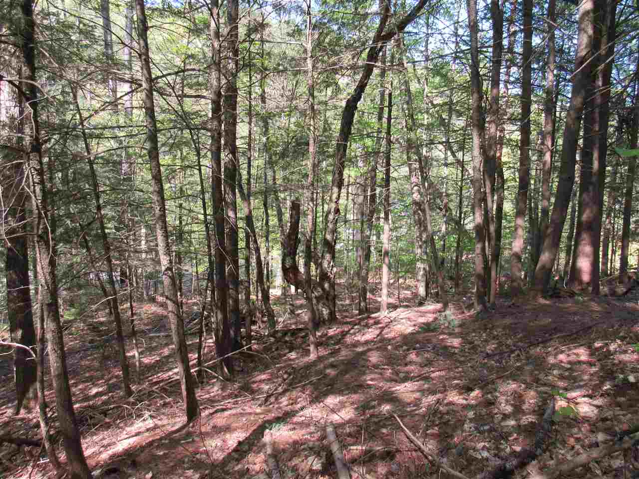 1410 Stevens Brook Road Moretown, VT 05676 - Photo 13 of 17