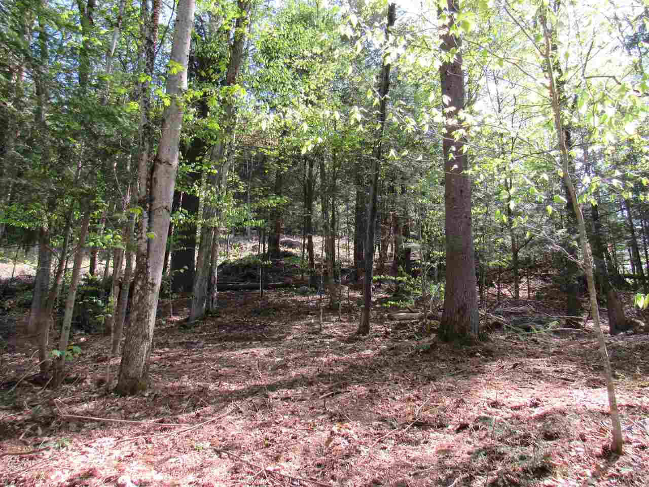 1410 Stevens Brook Road Moretown, VT 05676 - Photo 14 of 17