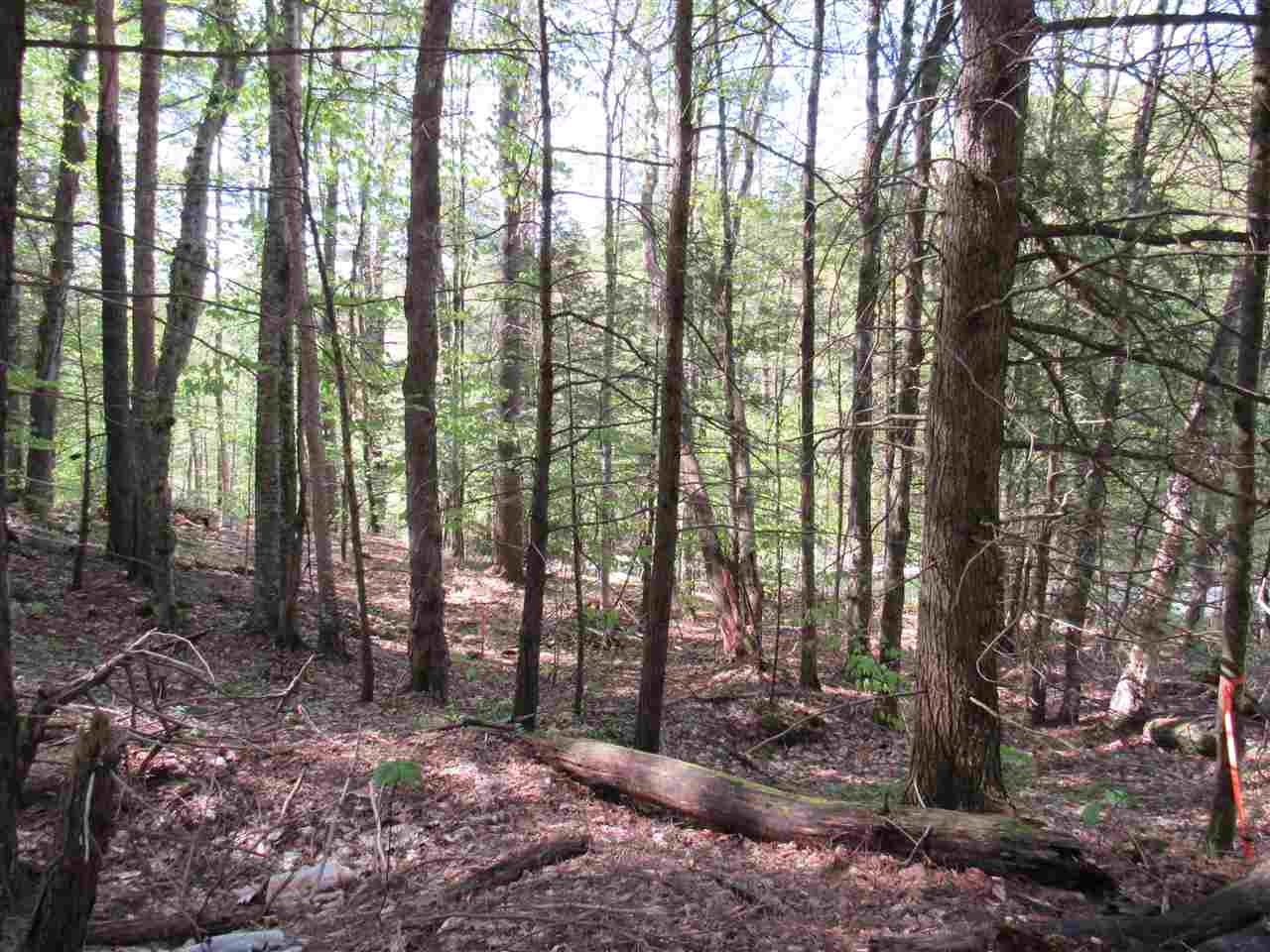 1410 Stevens Brook Road Moretown, VT 05676 - Photo 16 of 17