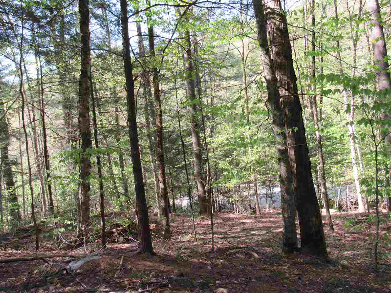 1410 Stevens Brook Road Moretown, VT 05676 - Photo 17 of 17