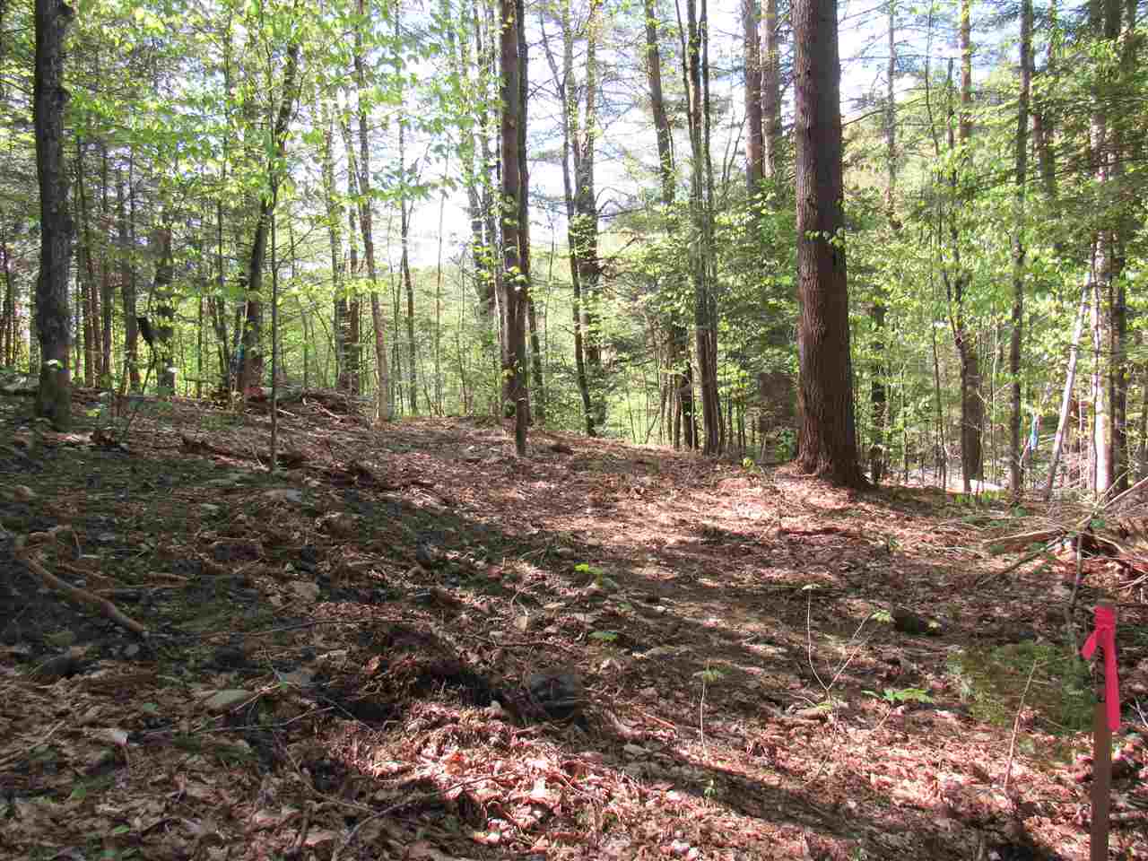 1410 Stevens Brook Road Moretown, VT 05676 - Photo 8 of 17