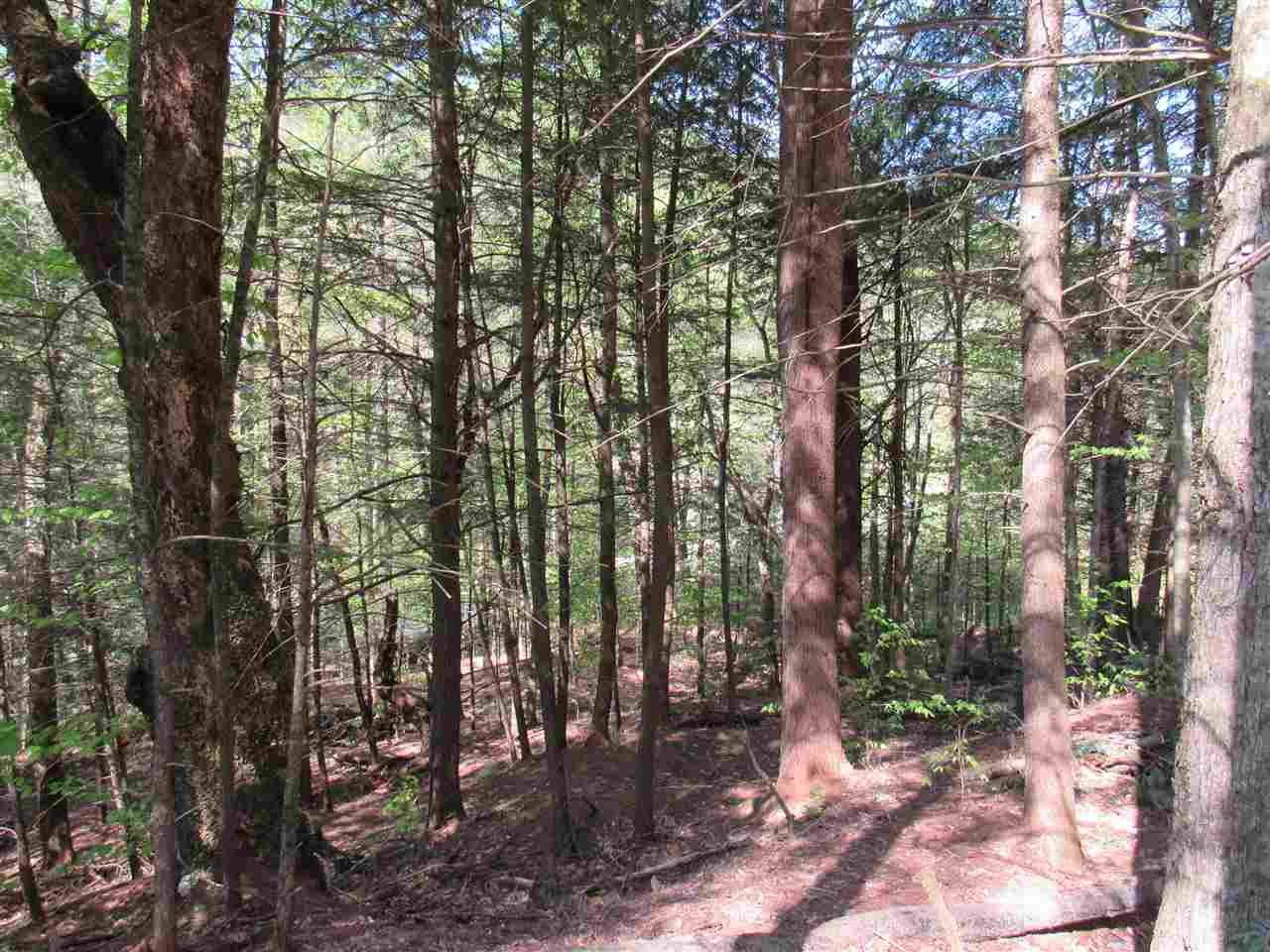 1410 Stevens Brook Road Moretown, VT 05676 - Photo 10 of 17