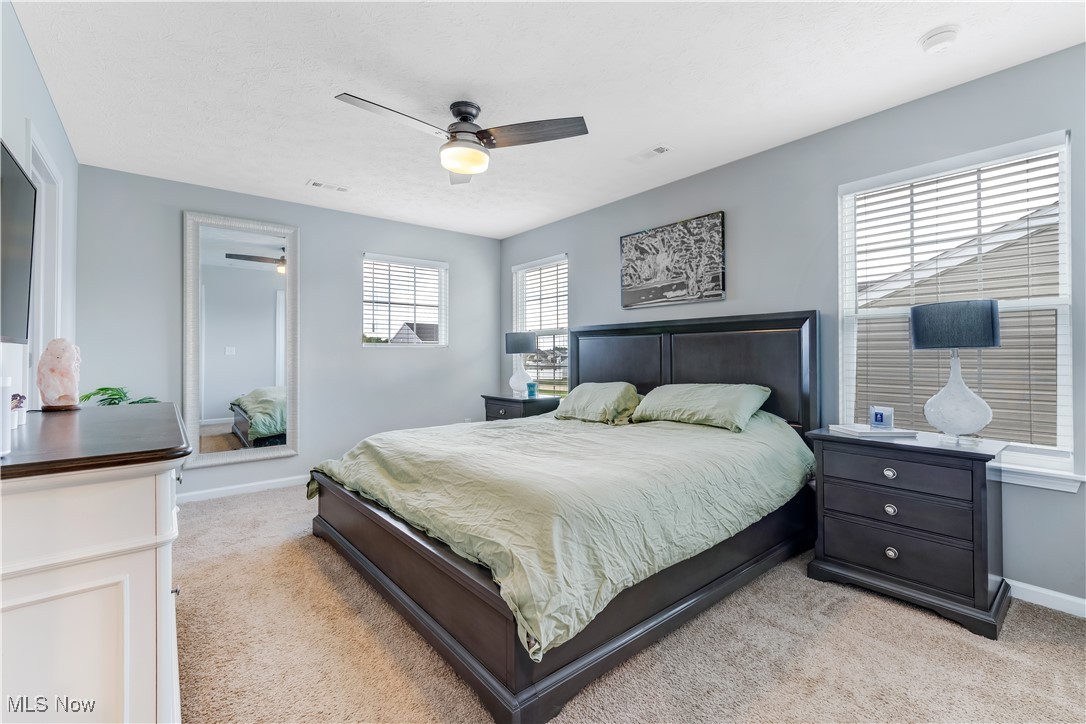 37273 Sandy Ridge Drive North Ridgeville, OH 44039 - Photo 23 of 38 Main bedroom with 2 closets and full bath.
