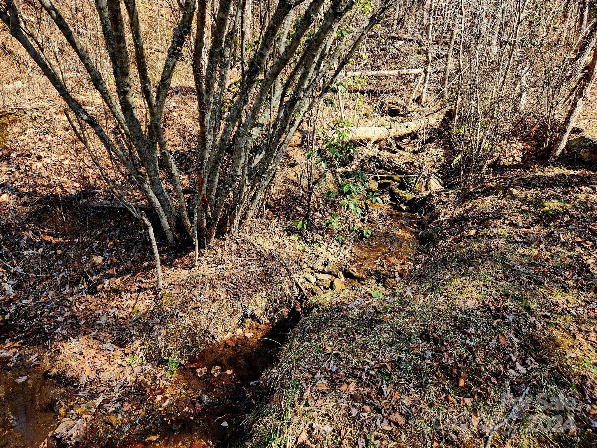 D16 Cedar Creek Farm Road Tuckasegee, NC 28783 - Photo 4 of 7 a view of a yard with a tree