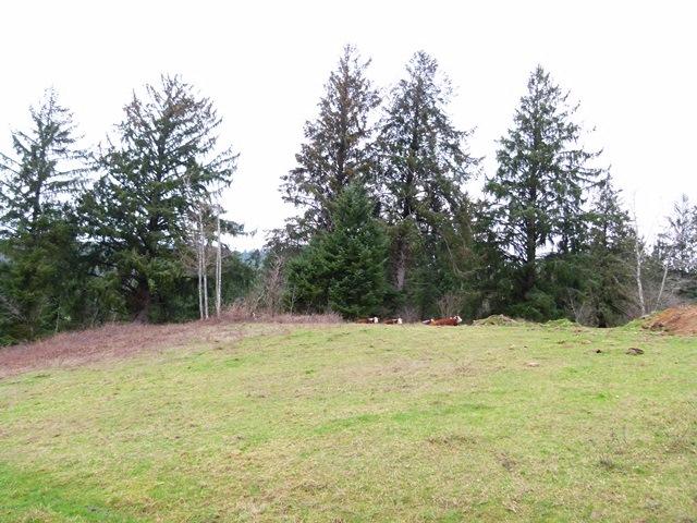 Tl#1008 Bel Air Road Cloverdale, OR 97112 - Photo 1 of 20 P1080337