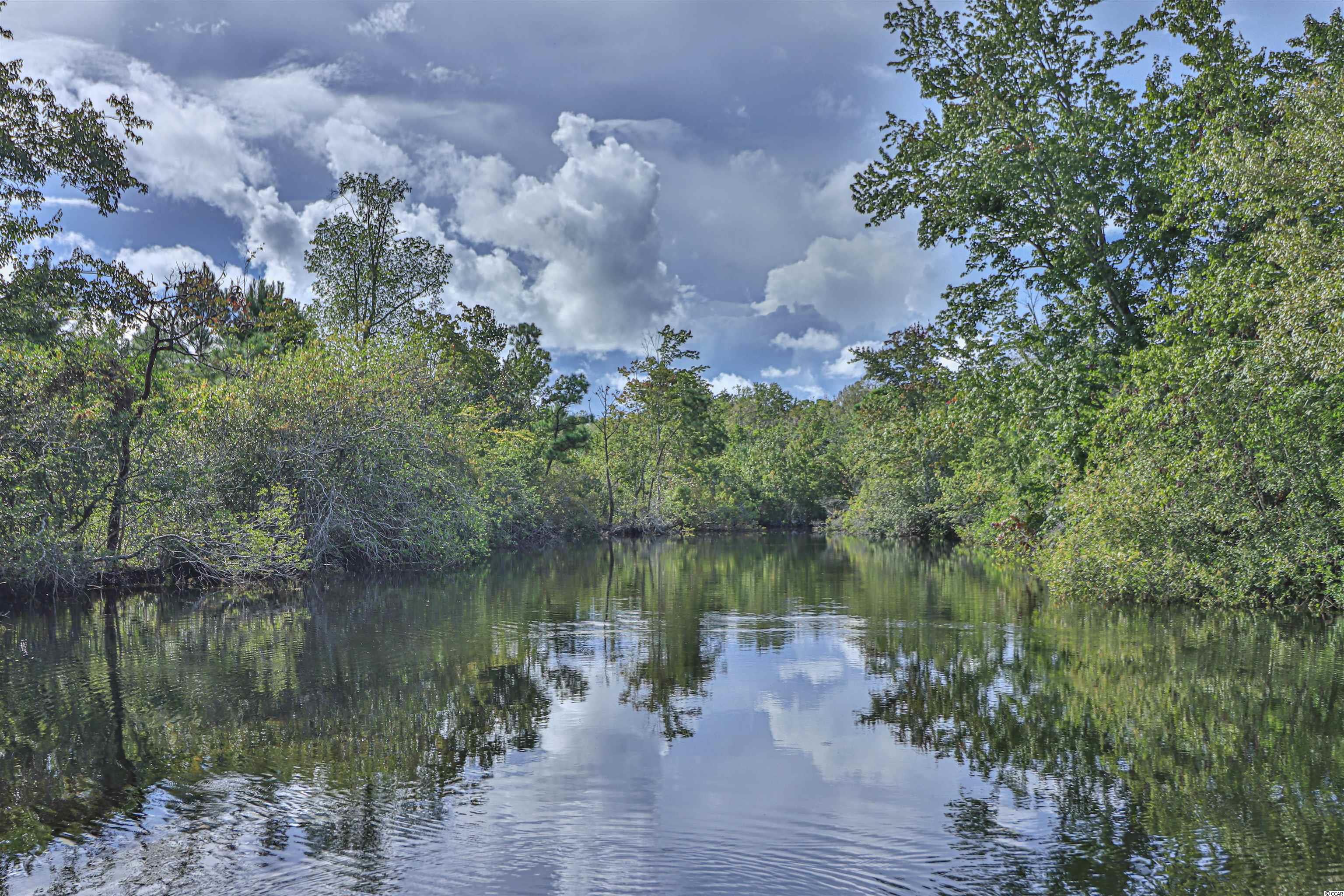 4820 South Fraser Street Georgetown, SC 29440 - Photo 37 of 40