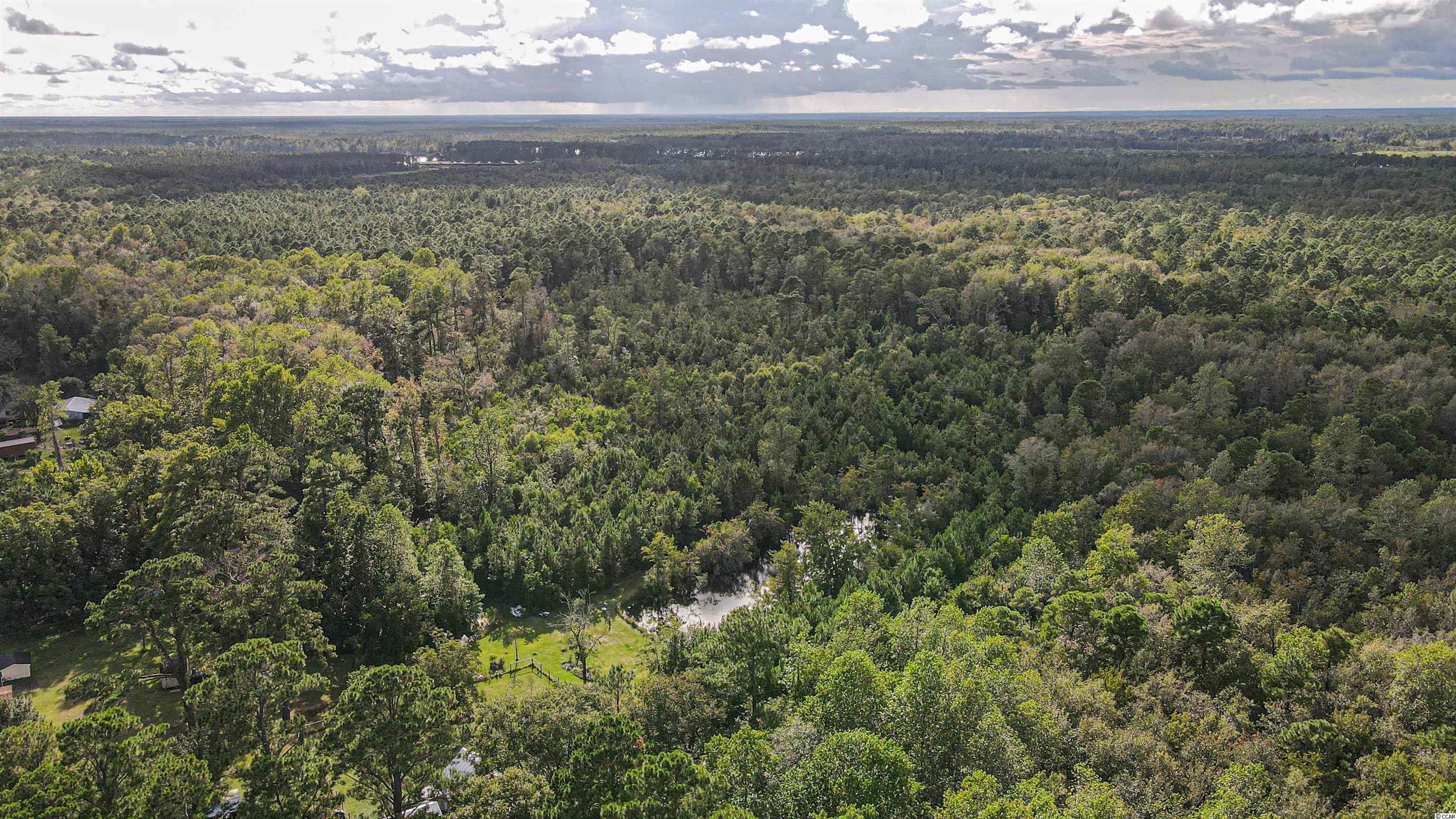 4820 South Fraser Street Georgetown, SC 29440 - Photo 39 of 40