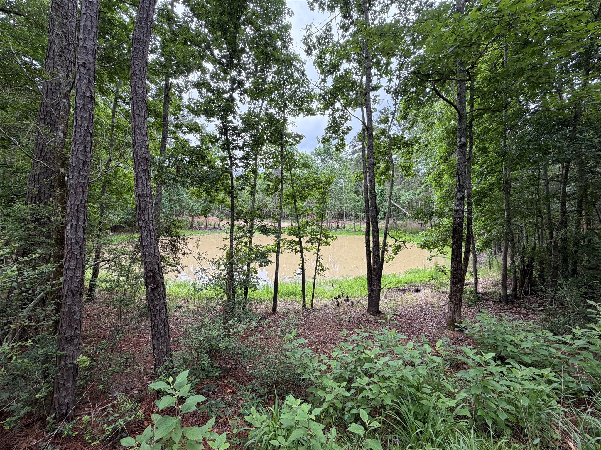 0 Hill Road Willis, TX 77378 - Photo 4 of 7 Gallery Image 4