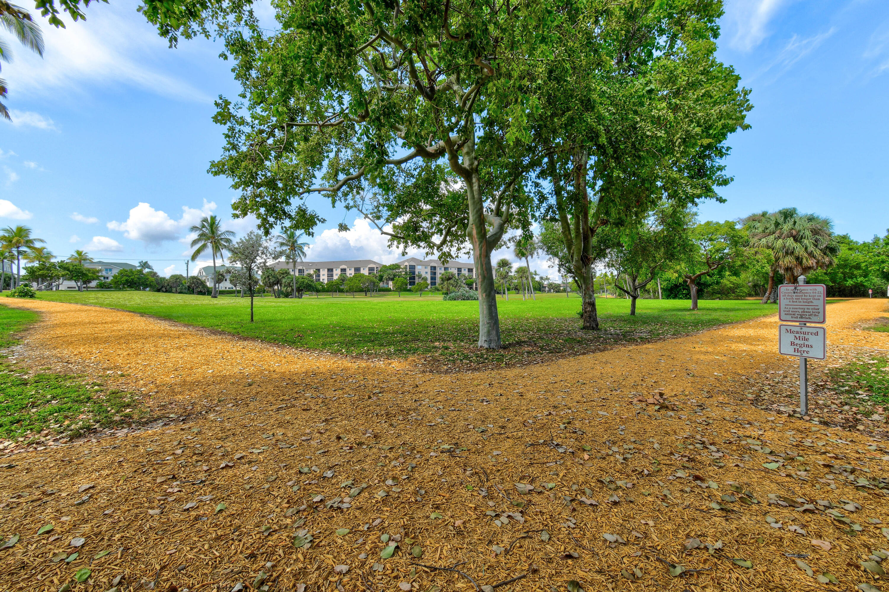717 Highway 1, Unit 912 Jupiter, FL 33477 - Photo 36 of 45 a view of a park with tree s