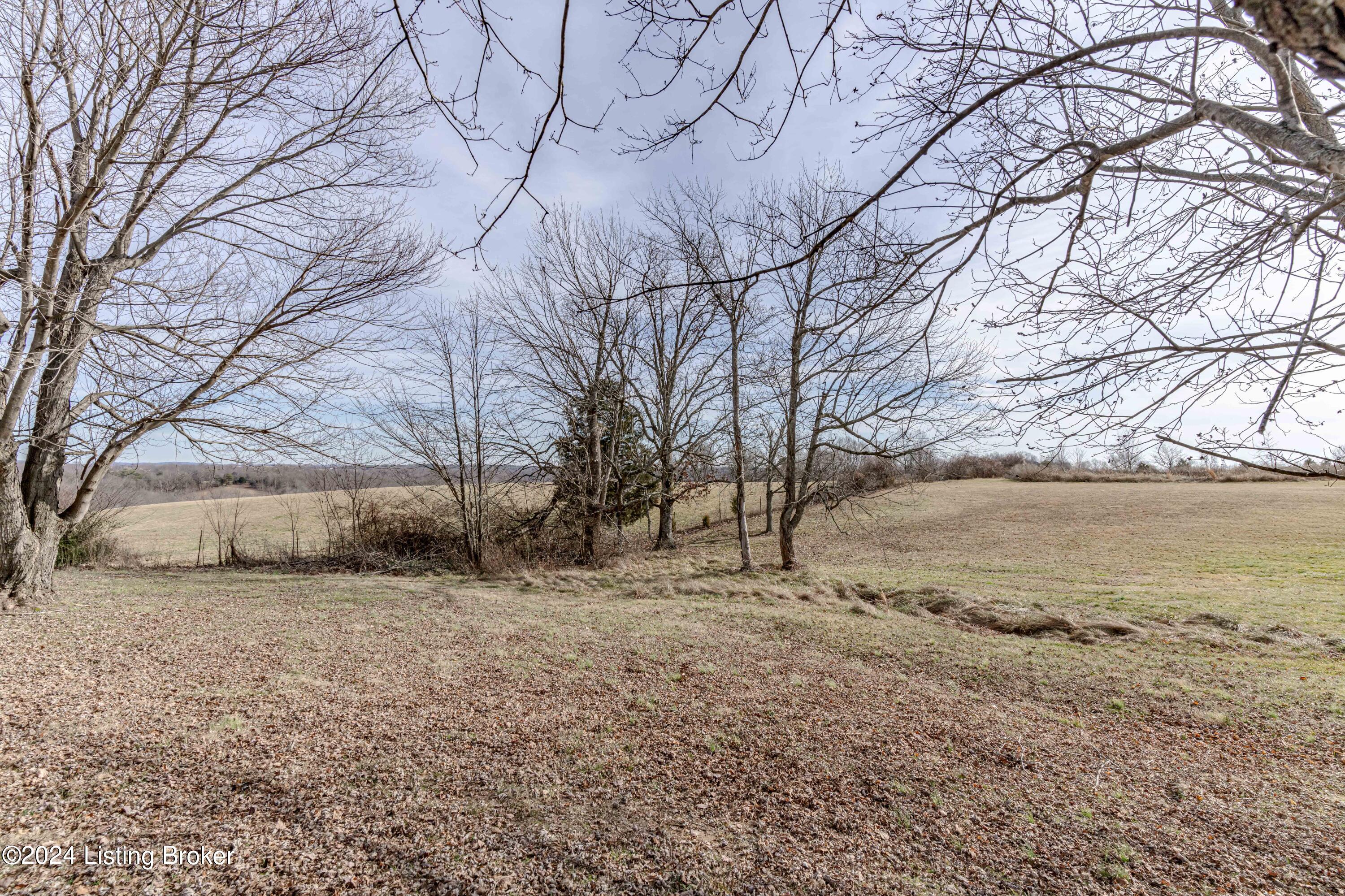 7140 Anneta Road Clarkson, KY 42726 - Photo 71 of 78 DSC03587