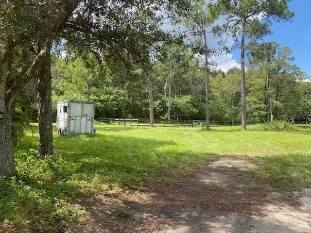 a view of park benches sitting below a tree